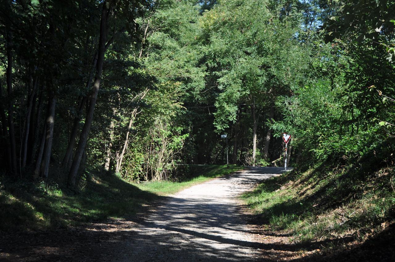 Villa Fior Di Robinia Giavera del Montello Eksteriør bilde